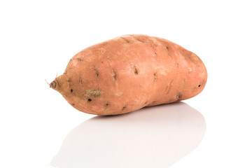 Sweet potato on the white background