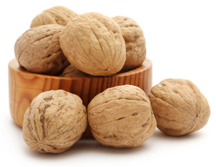 Walnut