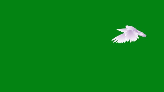 White dove in a  sky . pigeon  flying on the wing.A cartoon, animation, video. Transparent background. Alpha channel.