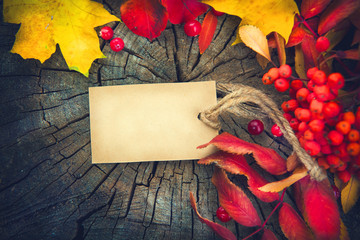 Autumn background with blank greeting card and colorful leaves over wood