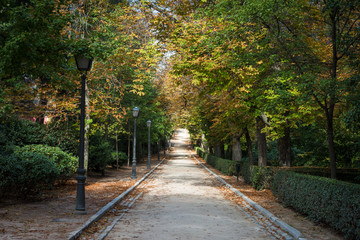 Fototapeta na wymiar Parc du Retiro à l'automne, Madrid, Espagne