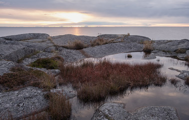 Island in Stockholm archipelago at sunrise.