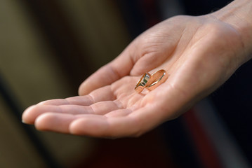 wedding rings in hand