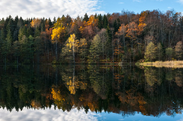 Fall view with dazzling colors and reflections in water
