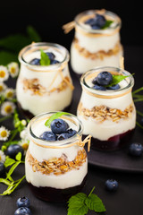Healthy Greek Yogurt with Blueberries and Granola Parfait. Selective focus.