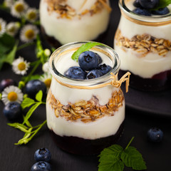 Healthy Greek Yogurt with Blueberries and Granola Parfait. Selective focus.