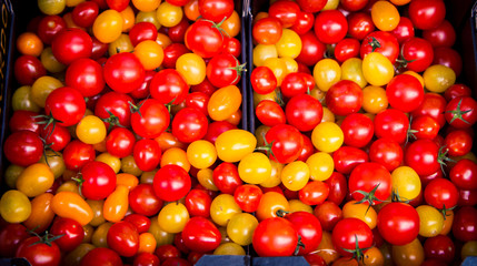 colourful cherry tomatoes