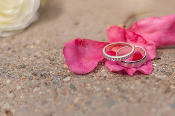 two silver wedding rings on romantic rose petals