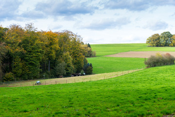 Fototapeta premium green fields and clouds