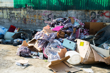 environmental pollution