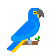 Parrot bird blue breed species animal nature tropical parakeets education colorful pet vector illustration
