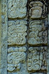 Fototapeta na wymiar Details of the Mayan Ruins in Copan Honduras 