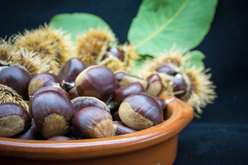 group of hedgehogs and chestnuts in a terracotta bowl