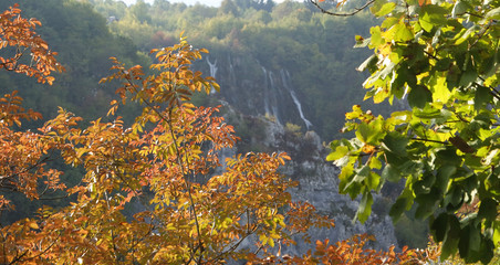 amazing landscape at the plitvice lakes in croatia