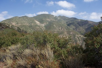 Santa Ana Mountains