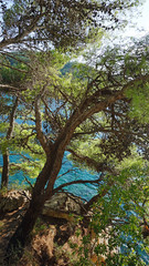 amazing natural beach in croatian town dubrovnik