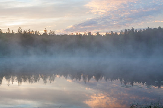 Foggy morning at forest pond landscape Finland © Juhku