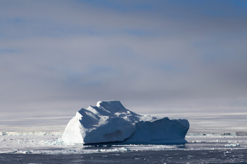 An iceberg in Antarctica