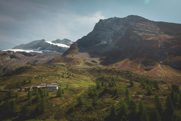 Mountain Vibes