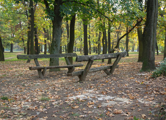 Two empty benches in the woods. Autumn beckground