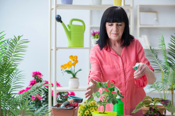 Woman florist working in the flower shop