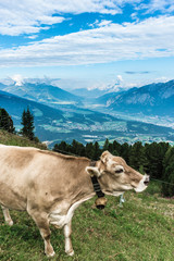 Patscherkofel peak near Innsbruck, Tyrol, Austria.