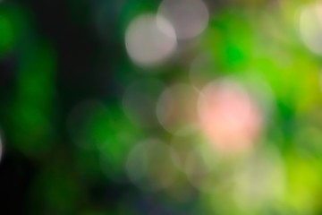 Obraz premium Blur Sunlight For Green Background