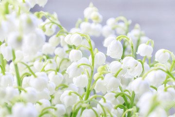Lilly of the valley flowers.