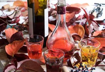 Weinprobe mit verschiedenen Weinen