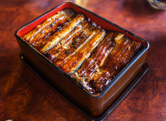 Unangi Grilled Eel over Rice with Japanese Sauce