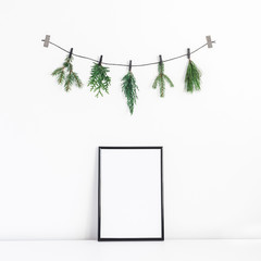 Christmas composition. Black frame and christmas tree branches on white background. Front view, mock up, copy space, square