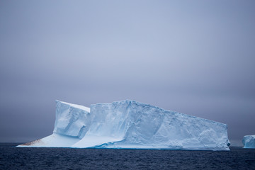 Large Tabular Icebergs, Antarctic Sound, Antarctica