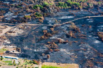 Fototapeta premium Scorched trees and grass after the fire. Aerial view