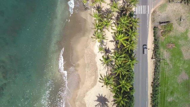 Maui Beach with Palm Trees (Kihei, Hawaii)