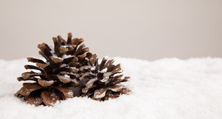 Naklejka na ściany i meble pinecones in snow