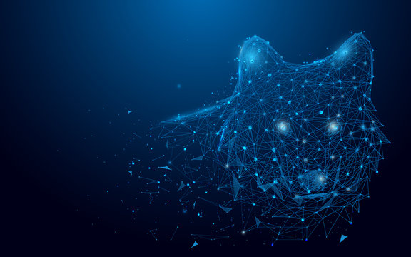 Wolf lines and triangles, point connecting network on blue background. Illustration vector