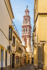 Fototapeta na wymiar View at the Bell tower of church San Juan Bautista in Ecija, Spain
