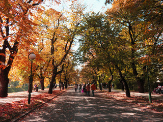 Vilson's promenade with beautiful autumn colors in sarajevo , Bosnia and Herzegovina