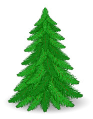 christmas tree stock vector illustration