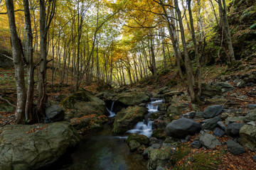 Autumn waterfall in forest