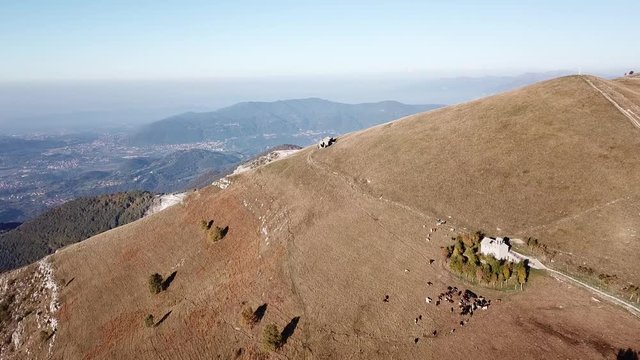 Aerial drone view of the Sanctuary of the holy family of Nazareth, It is placed on Linzone mountain, province of Bergamo. Cows are grazing near the church
