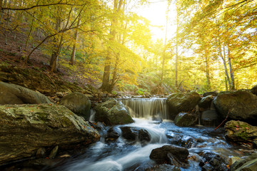 Autumn waterfall in forest