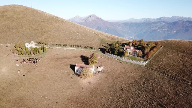 Aerial drone view of the Sanctuary of the holy family of Nazareth, It is placed on Linzone mountain, province of Bergamo. Cows are grazing near the church