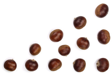 chestnut isolated on white background with copy space for your text. Top view