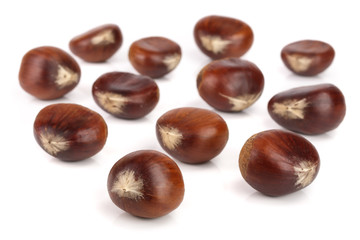 sweet chestnut isolated on white background