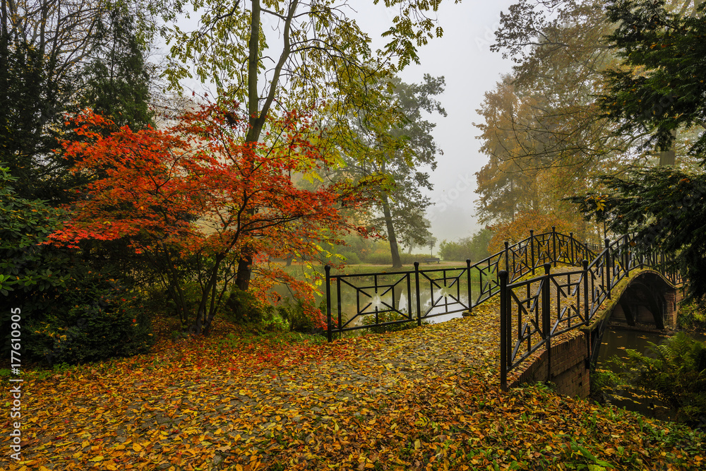 Poster scenic view of misty autumn landscape with beautiful old bridge in the garden with red maple foliage