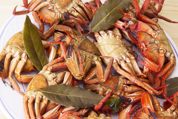 seafood dish, crabs with bay leaf