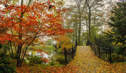 Obraz premium Scenic view of misty autumn landscape with beautiful old bridge in the garden with red maple foliage.