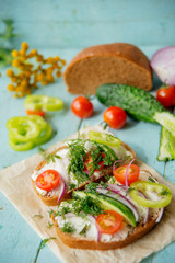 Wholesome sandwich with cheese, garden radish -Healthy Eating