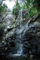 A view of Caledonia waterfall in the forests of Platres, Cyprus - obrazy, fototapety, plakaty